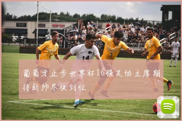 葡萄牙止步世界杯16强足协主席期待新帅尽快到位