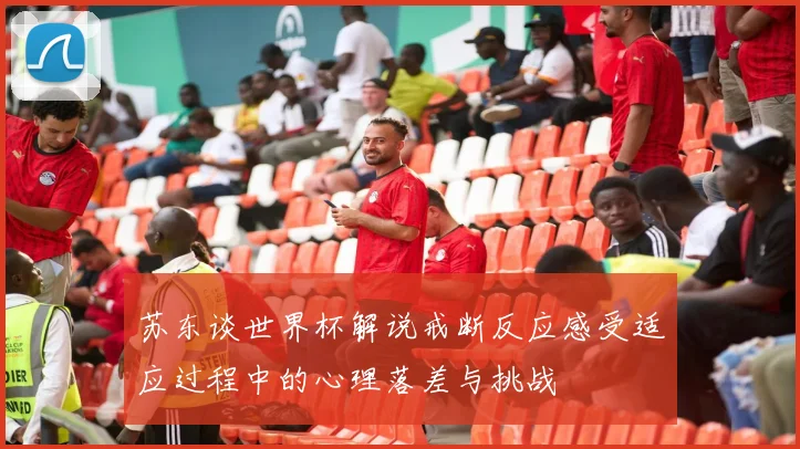苏东谈世界杯解说戒断反应感受适应过程中的心理落差与挑战